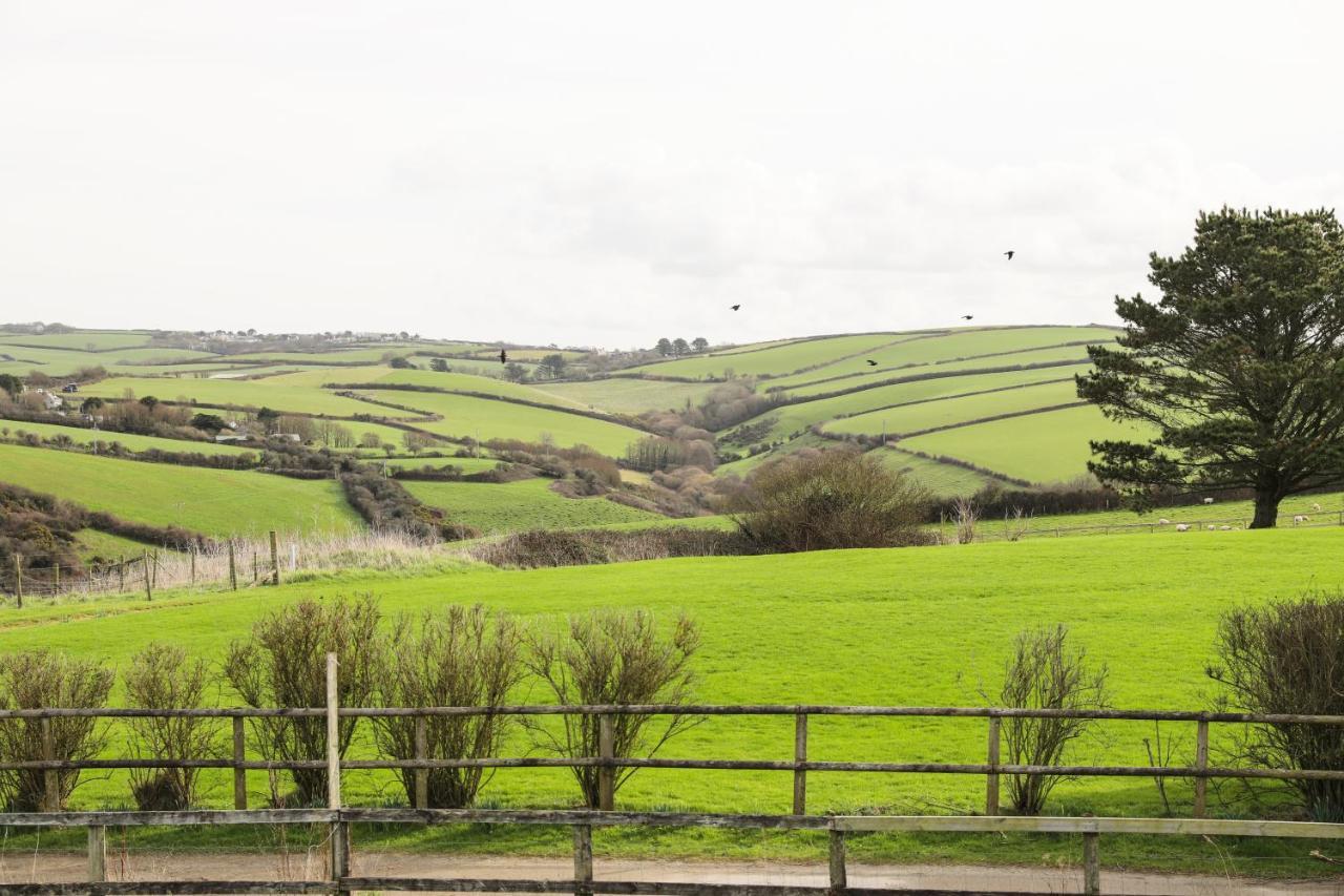 Northlight, Port Isaac Bay Holidays Bagian luar foto